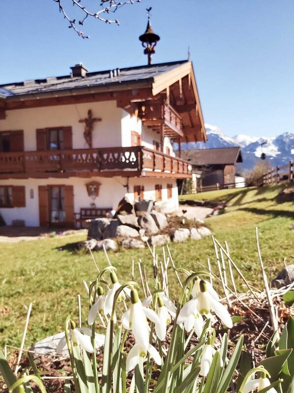 Exterior detail - Ferienwohnung Untersberg für 1-2 Personen, ca. 25 m², Wohnschlafraum, Kochnische, Balkon (Bischofswiesen)