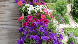 Una terraza de madera con una jardinera llena de diversas flores.