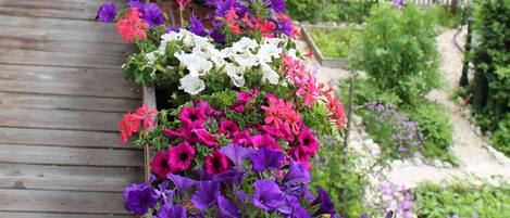 Jardines del alojamiento