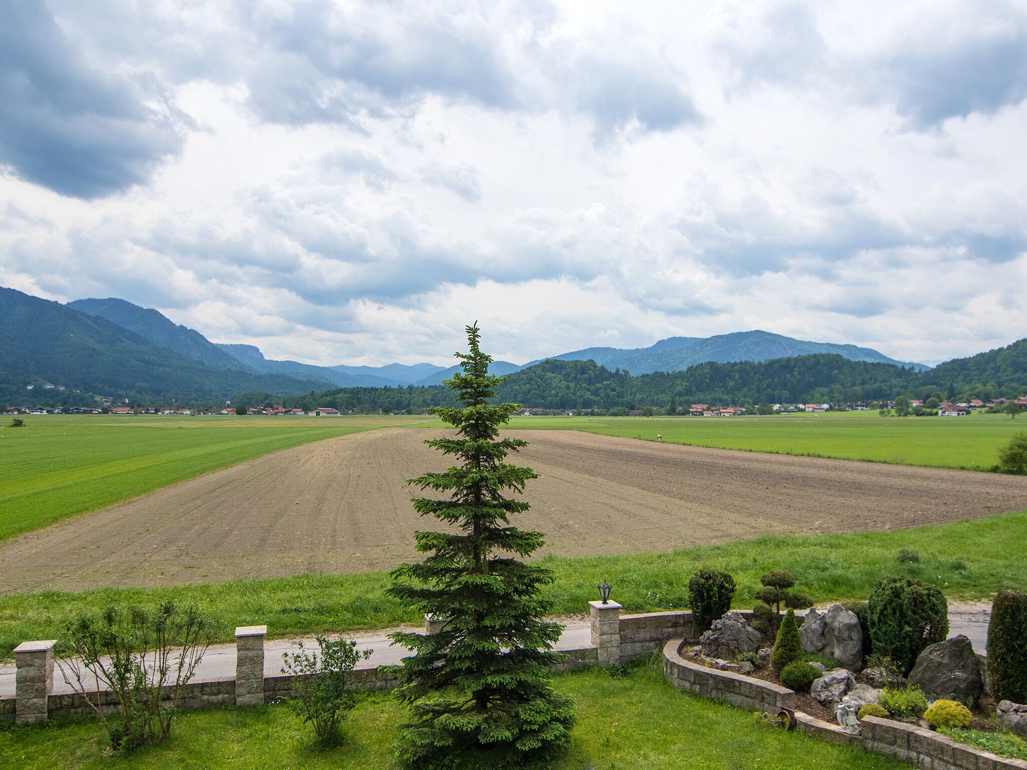 Ländliche Landschaft mit Feldern, einem markanten Nadelbaum und fernen Bergen unter bewölktem Himmel.