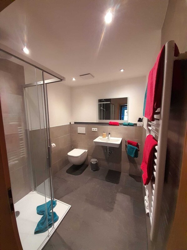 A modern bathroom with a glass shower enclosure, a toilet, a sink, and a mirror.