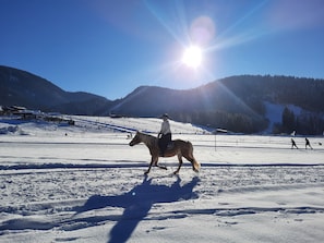 Wintersport/Ski