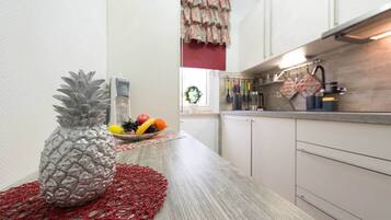 Fridge, microwave, stovetop, dishwasher