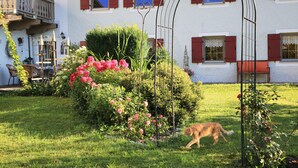 Et hus med balkon, en blomsterfuld have og en kat der går rundt på gårdspladsen.