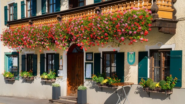Un edificio con fachada tradicional, puerta de madera y varias ventanas con contraventanas verdes.