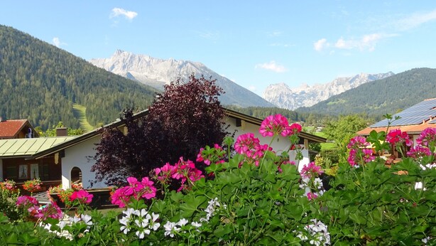 A mountain landscape with a house surrounded by colorful flowers and a view of distant mountains.