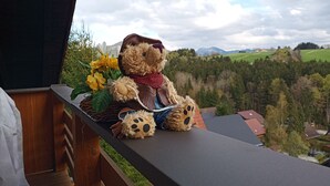 A teddy bear on a balcony with a view of a green landscape and mountains. - Ferienwohnung Teddy, 68 m² (Siegsdorf)