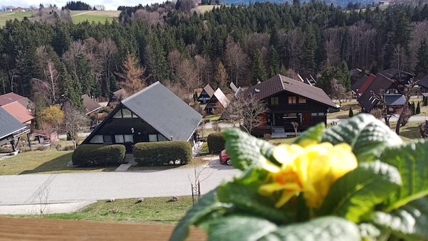 A rural village with traditional wooden houses, a clear road, and a mountain in the background. - Ferienwohnung Teddy, 68 m² (Siegsdorf)
