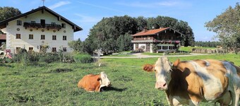 Ferienwohnung Samerberg  für 2-4 Personen 1. Stock, Balkon, eigener Eingang, Wohn/Schlafraum, 1 Schlafzimmer, Küche