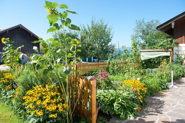 المنطقة المحيطة بالمنشأة