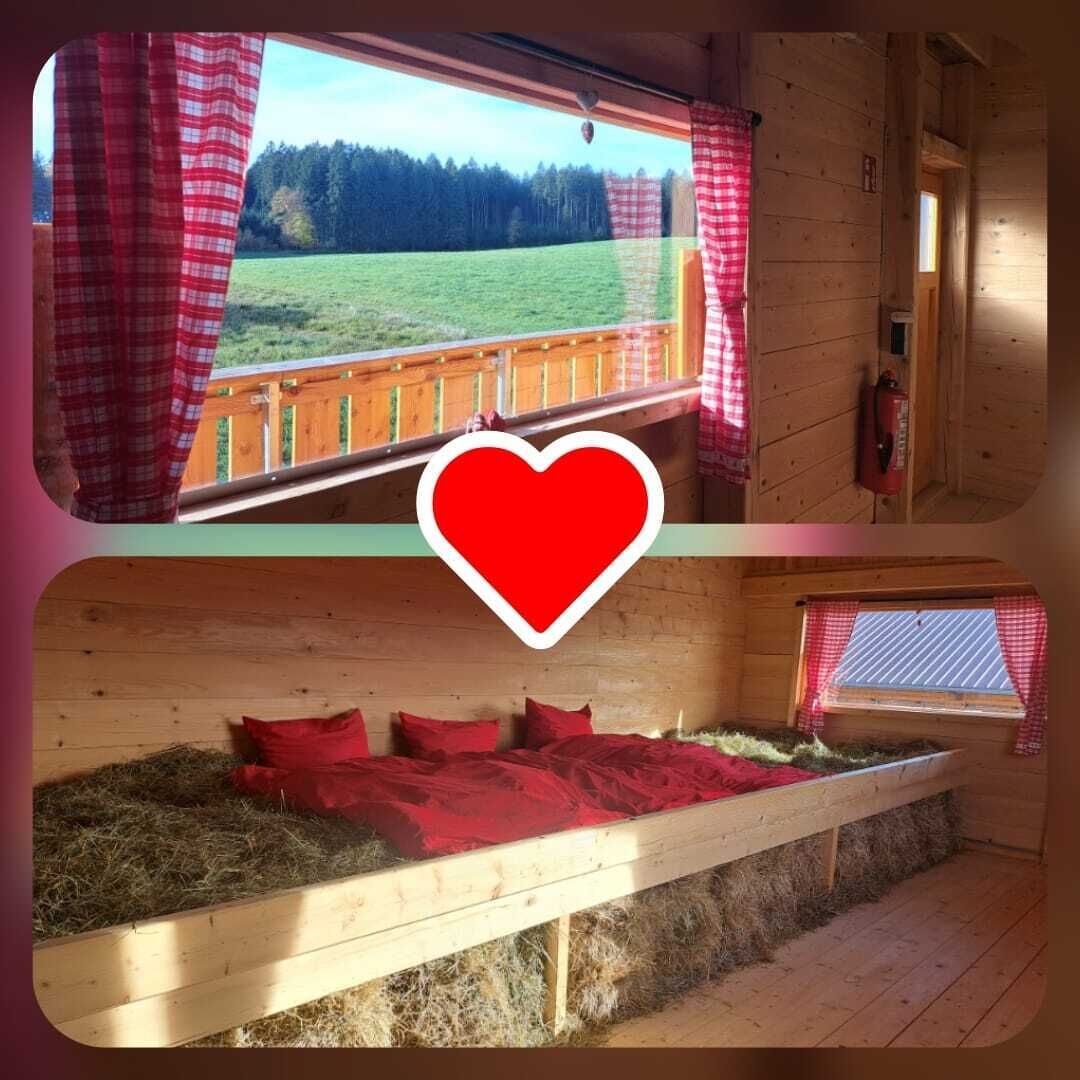 A cabin with a wooden interior, a window with red curtains, and a bed with red bedding.