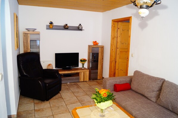 TV, DVD player, table tennis