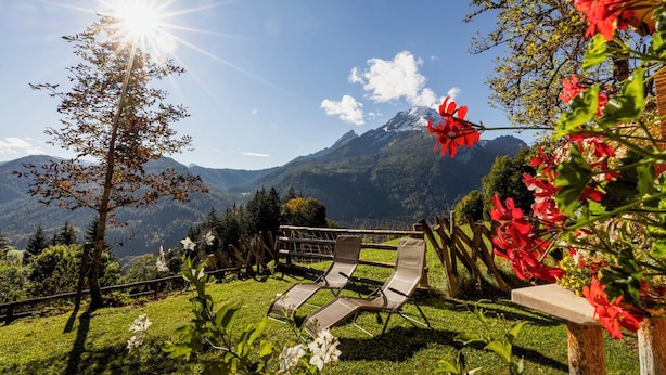 Un jardin avec un banc en bois, un arbre et une vue sur la montagne.