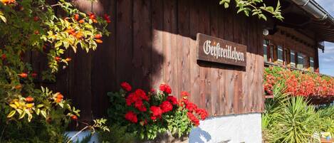 Détail de l’extérieur