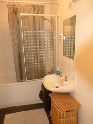 Combined shower/tub, hair dryer