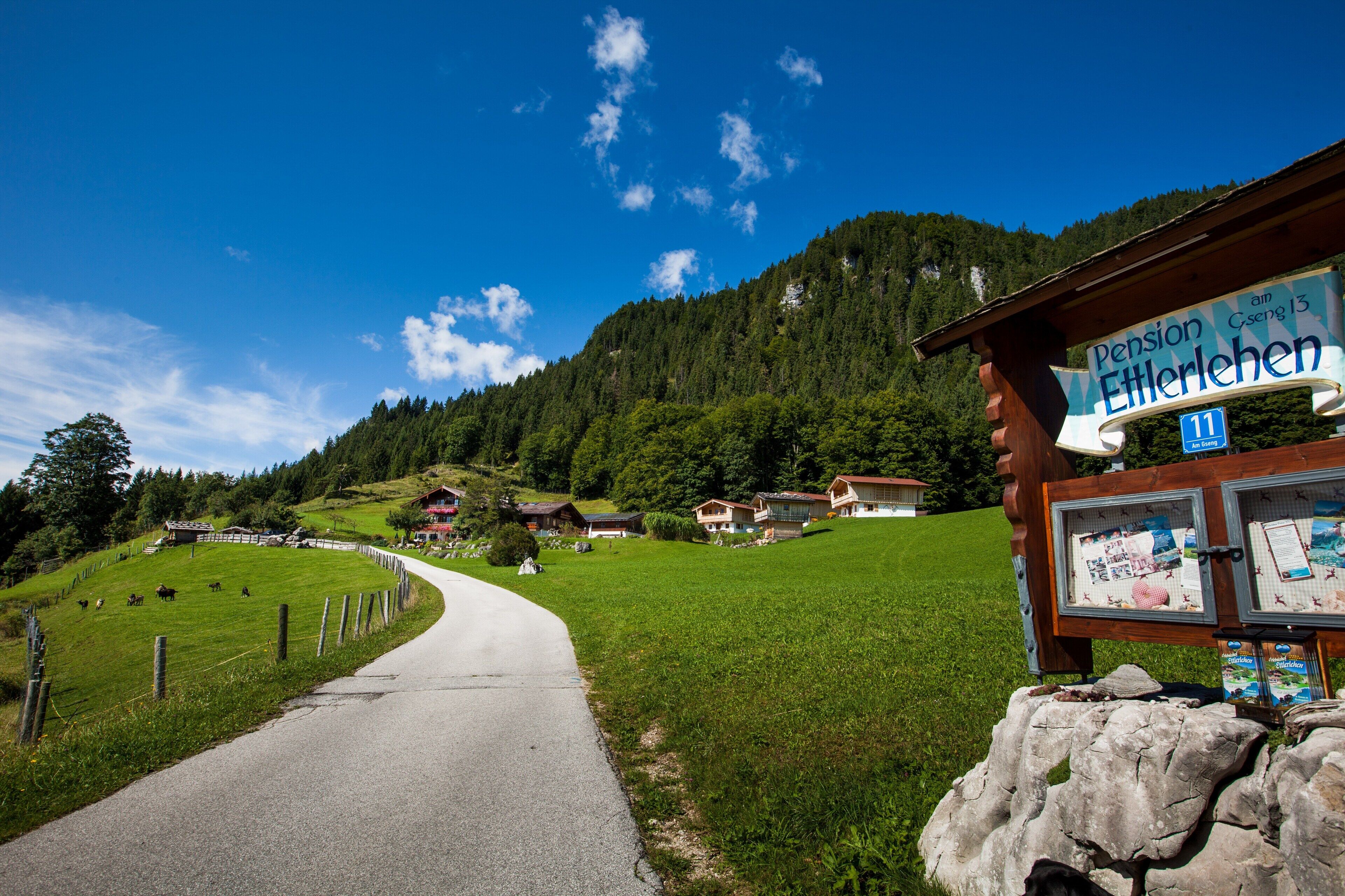 Eine Landstraße führt zu einem Pension Eitterlehen, mit Bergen im Hintergrund.