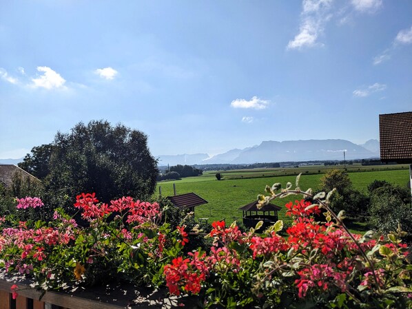 Badewanne, Haartrockner, Handtücher