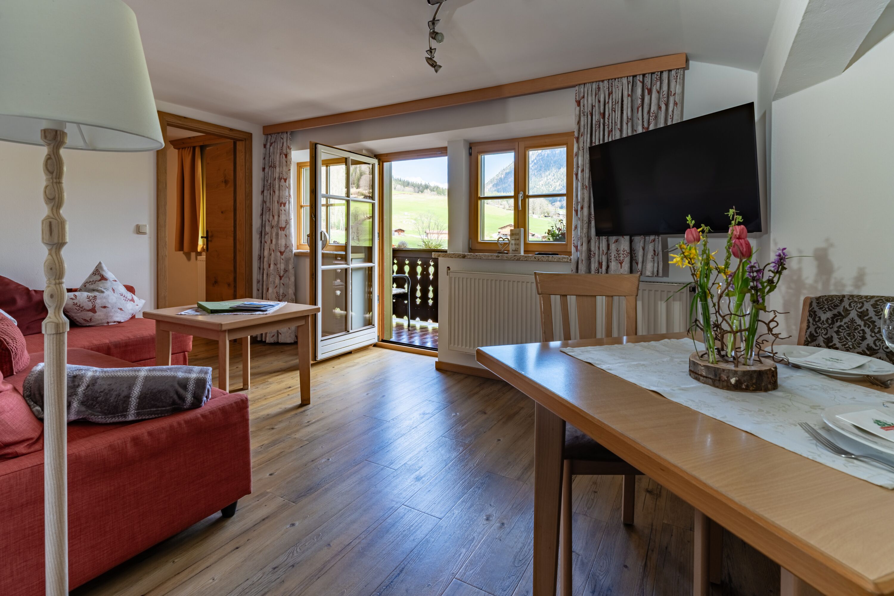 Televisión, mesa de ping pong