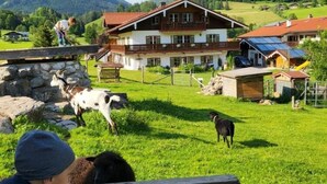 A rustic chalet with a wooden deck, surrounded by a lush green field and mountains in the background. - Apartment no. 6, 1-4 persons, 60 sqm, balcony, W-LAN, 1 bedroom and 1 children's bedroom (Ramsau bei Berchtesgaden)