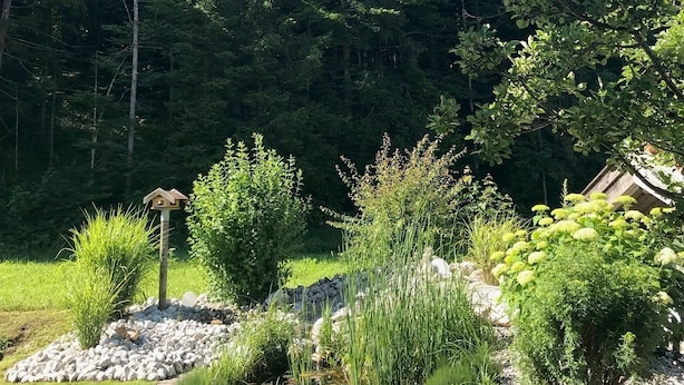 A garden with a stone pathway, various plants, and a birdhouse. - Haus am Dürrach (Reit im Winkl)