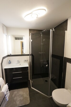 Regadera, secadora de cabello, toallas