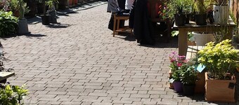 The House at Glenbarr