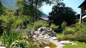 A garden with a pond, rocks, and various plants.