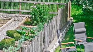 A garden with a wooden fence, a stone pathway, and two outdoor chairs.