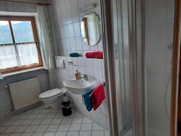 Kylpyhuone, jossa on wc, pesuallas, peili ja ikkuna, josta avautuu näkymä vuorille.