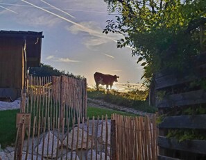 Une clôture en bois, une vache et un bâtiment dans un cadre rural.