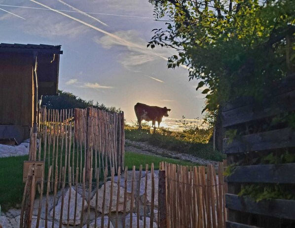 A wooden fence, a cow, and a building in a rural setting.