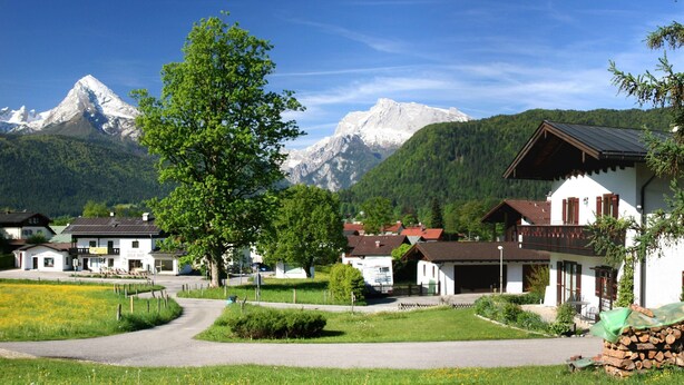 A rural village with traditional houses, a central tree-lined street, and a mountain backdrop.
