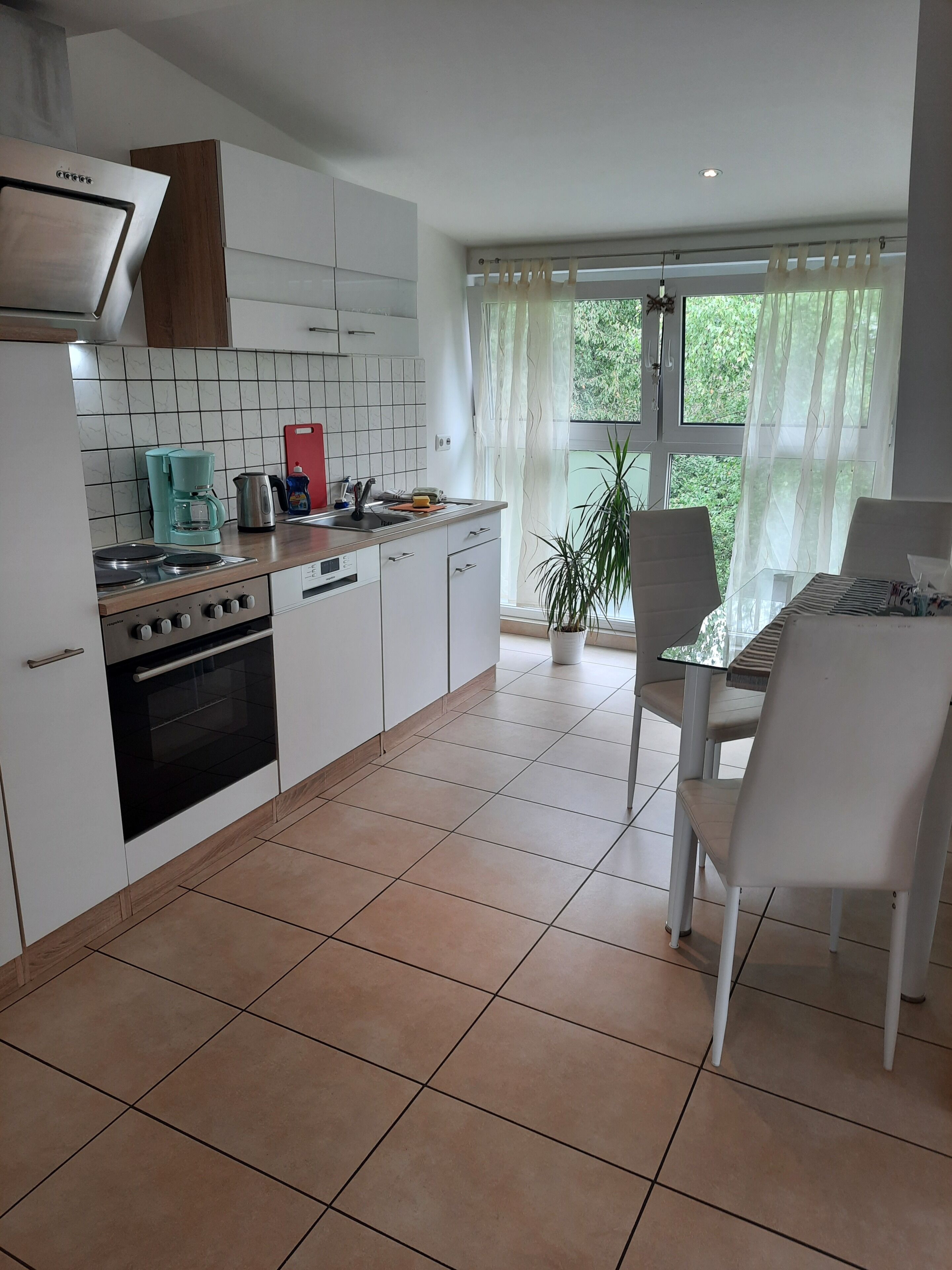 Economy Apartment (Haus 6) | Private kitchen | Fridge, microwave, oven, stovetop