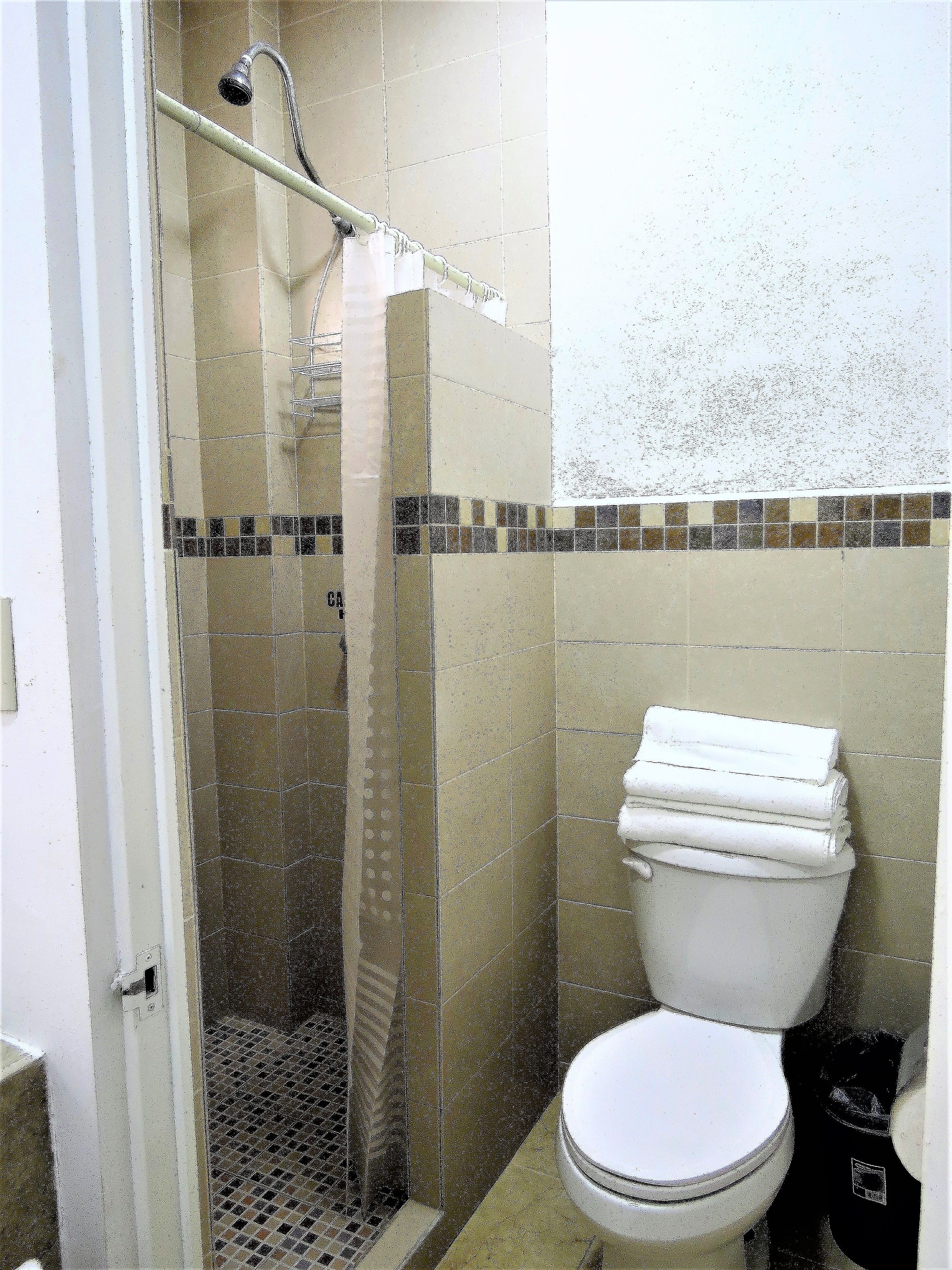 A bathroom with a shower, toilet, and tiled walls.