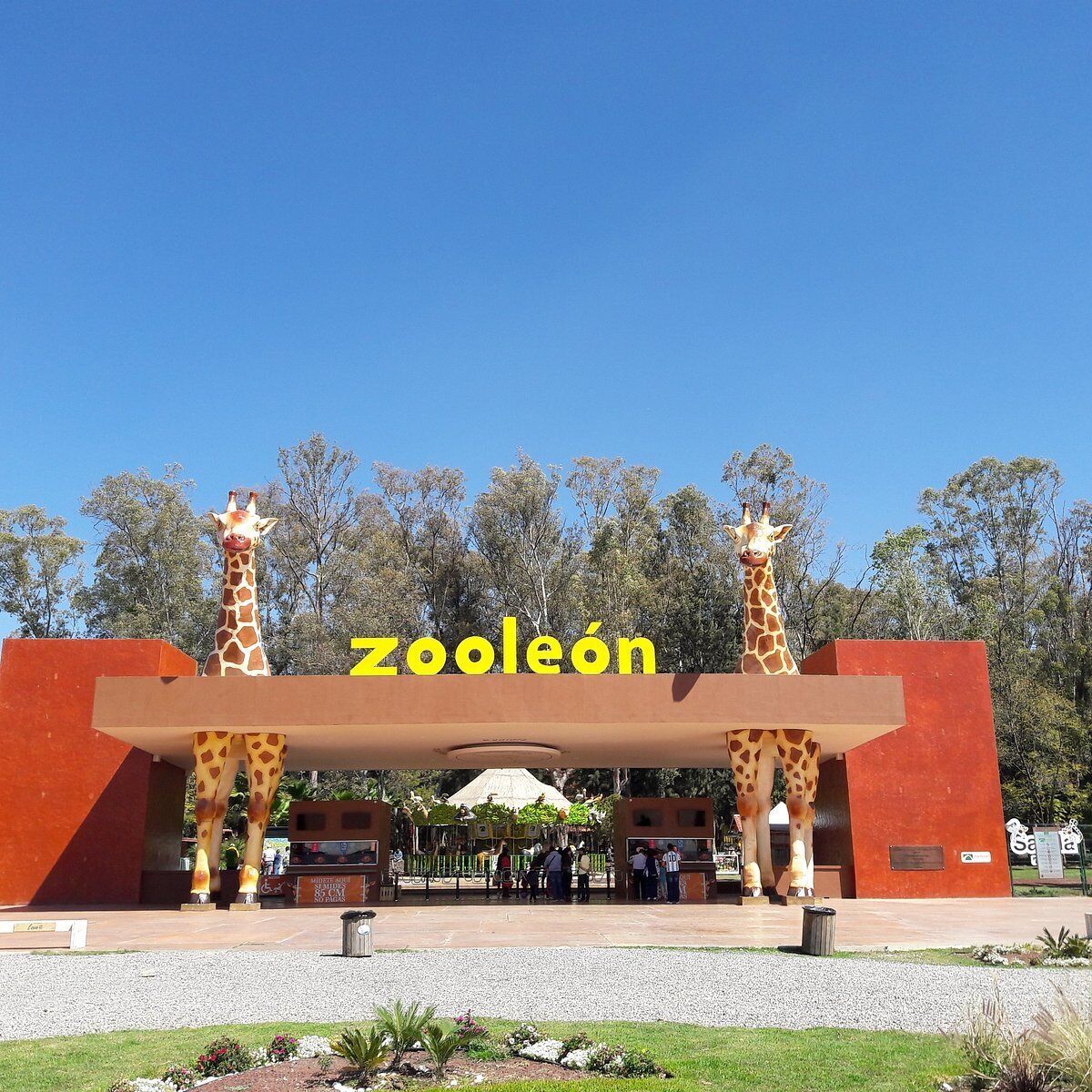 A zoo entrance with two giraffe statues, a clear blue sky, and a sign reading "Zooleón".