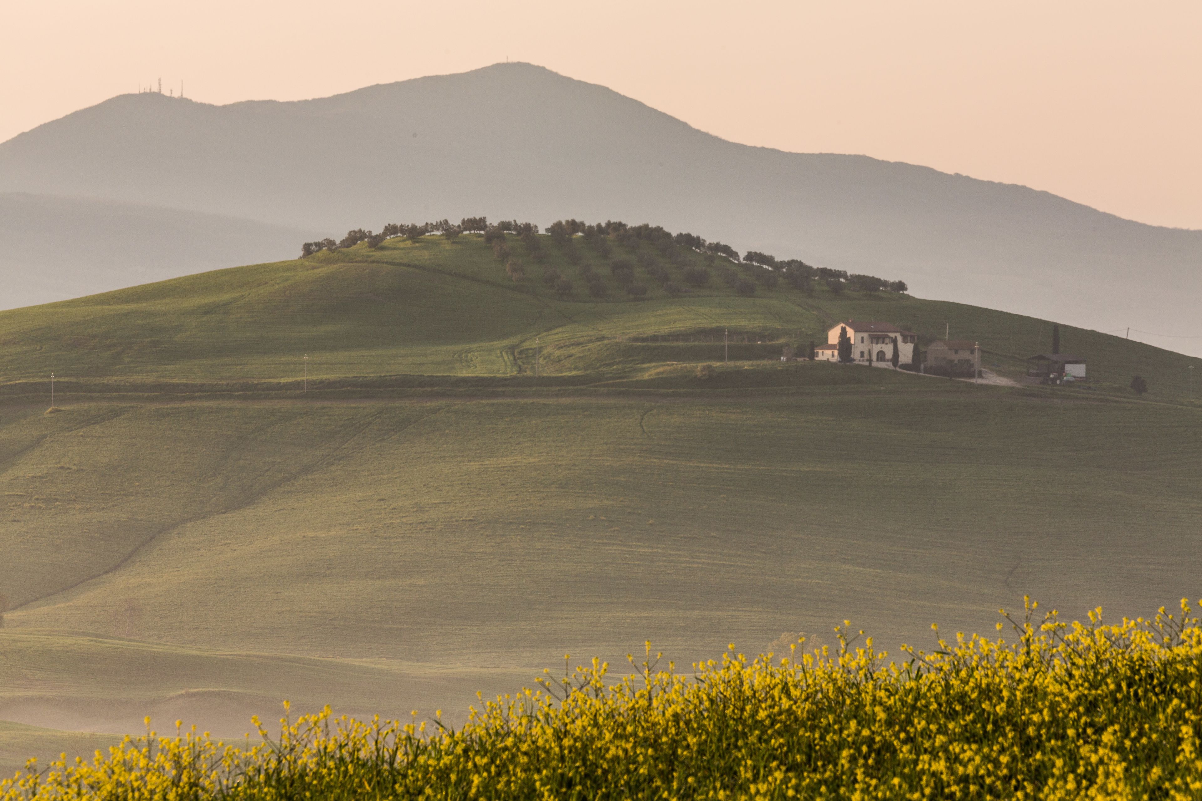 A rural landscape with rolling hills, a small cluster of buildings on a hill, and a field of yellow flowers in the foreground.