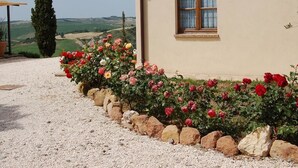 A building with a window, a gravel path, and a flower bed with red and pink flowers. - Agriturismo Poggio Tobruk (Pienza)