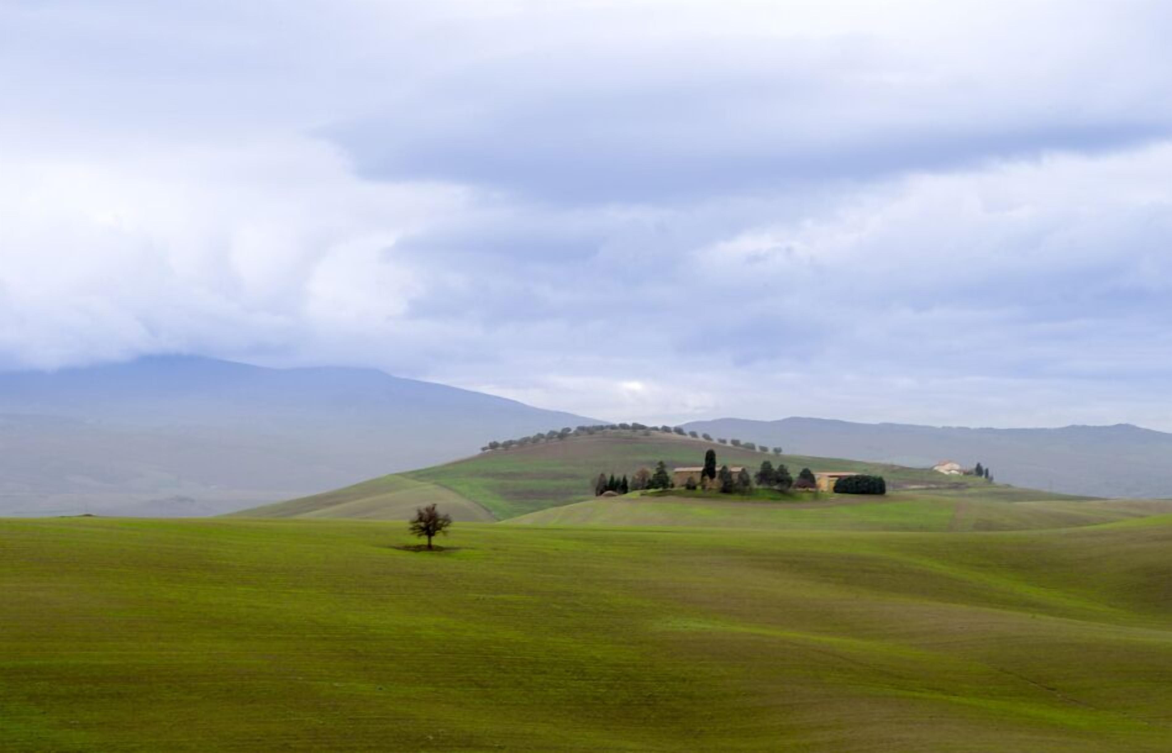 A rolling green landscape with a hill and scattered trees.