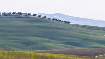 Facciata della struttura