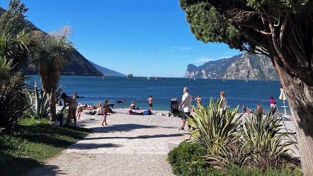 Una playa con gente, un cielo azul despejado y un árbol grande a la derecha.
