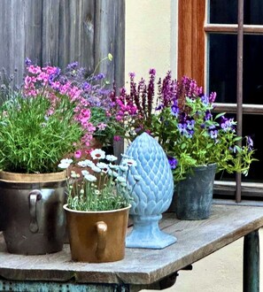 Unclassified image, 5 of 12, button