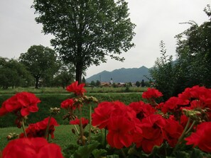 Property grounds - Vacation apartment Enzian in Haus Schmid - 90sqm - 1 - 3 persons (Grassau)