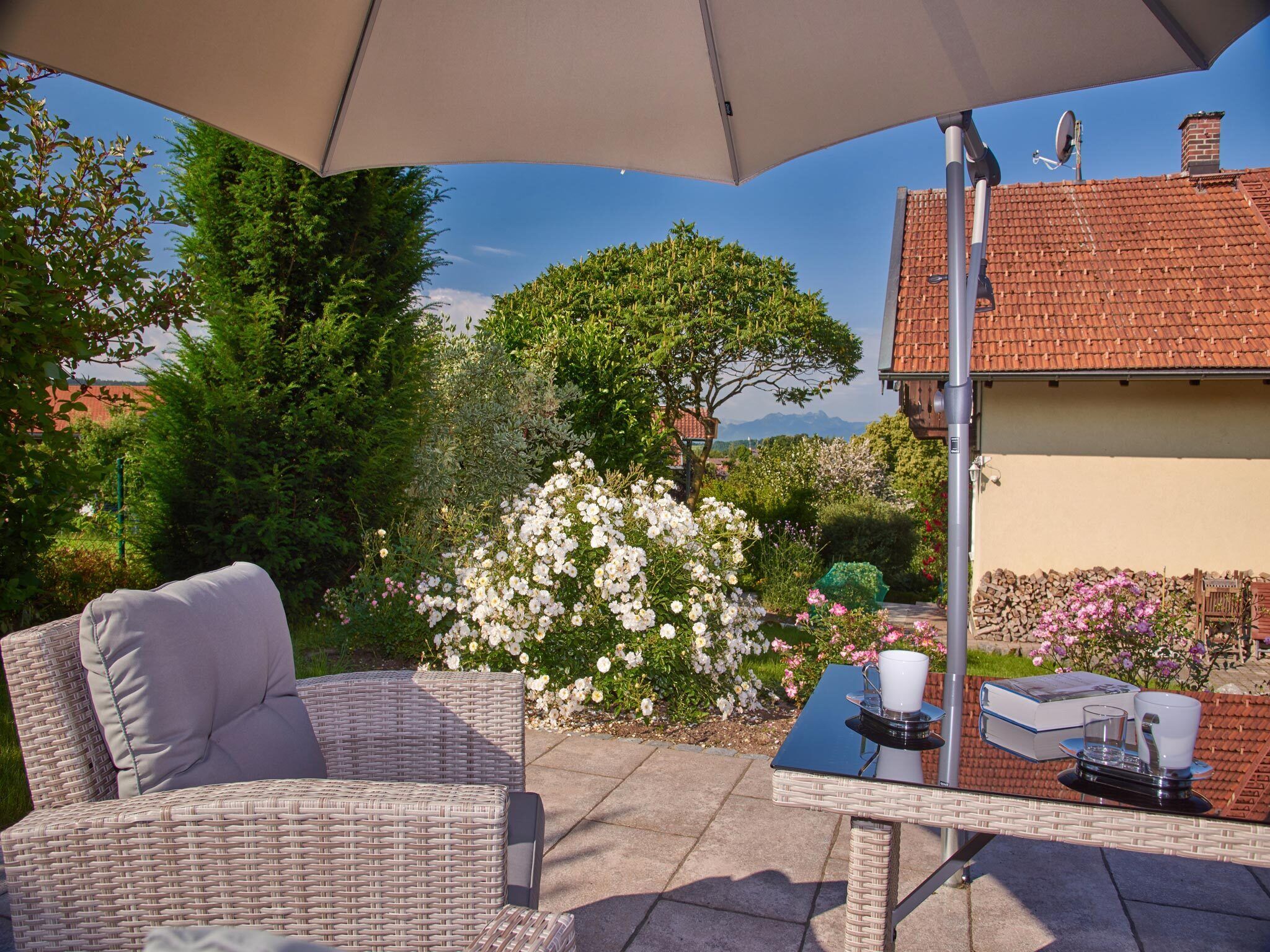 テラス / パティオ