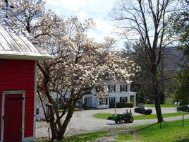 Un edificio rojo con una puerta blanca, una casa blanca con entrada de coches y un tractor verde al frente.