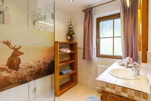Shower, hair dryer, towels