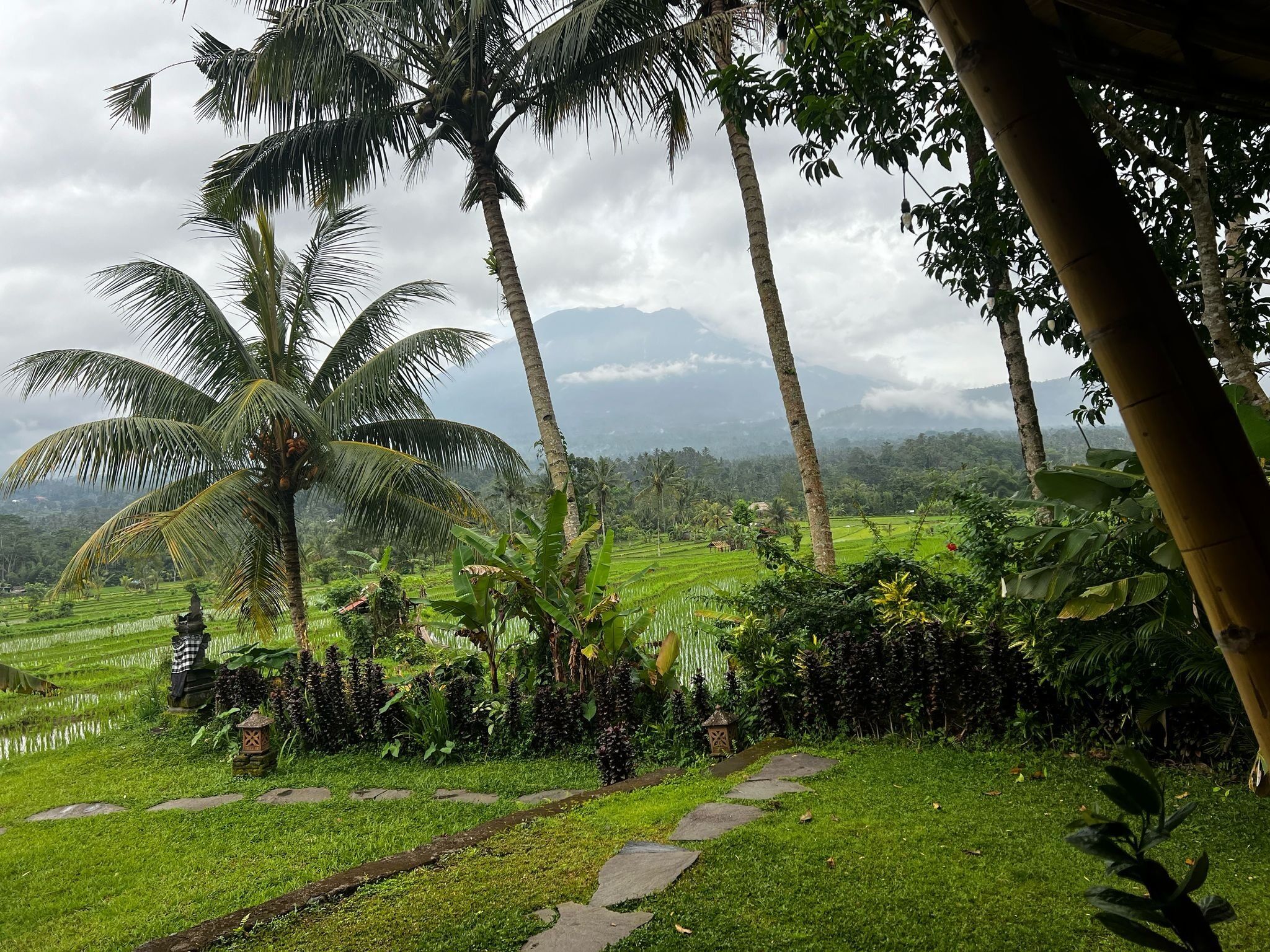 A lush green landscape with palm trees and a stone pathway.