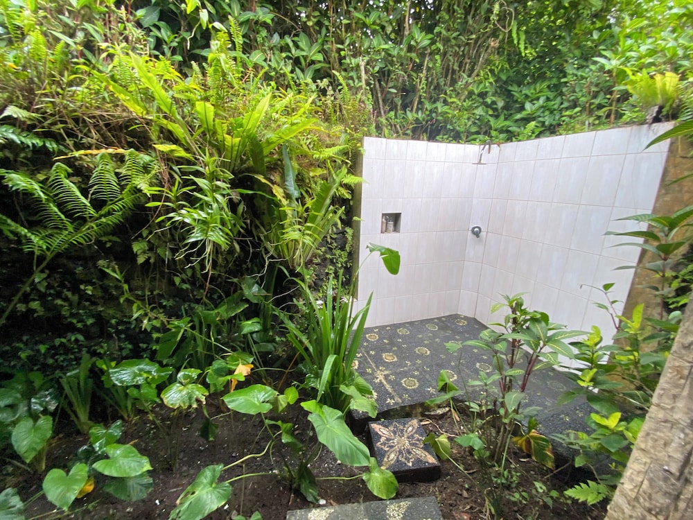 Great Mountain Views by null