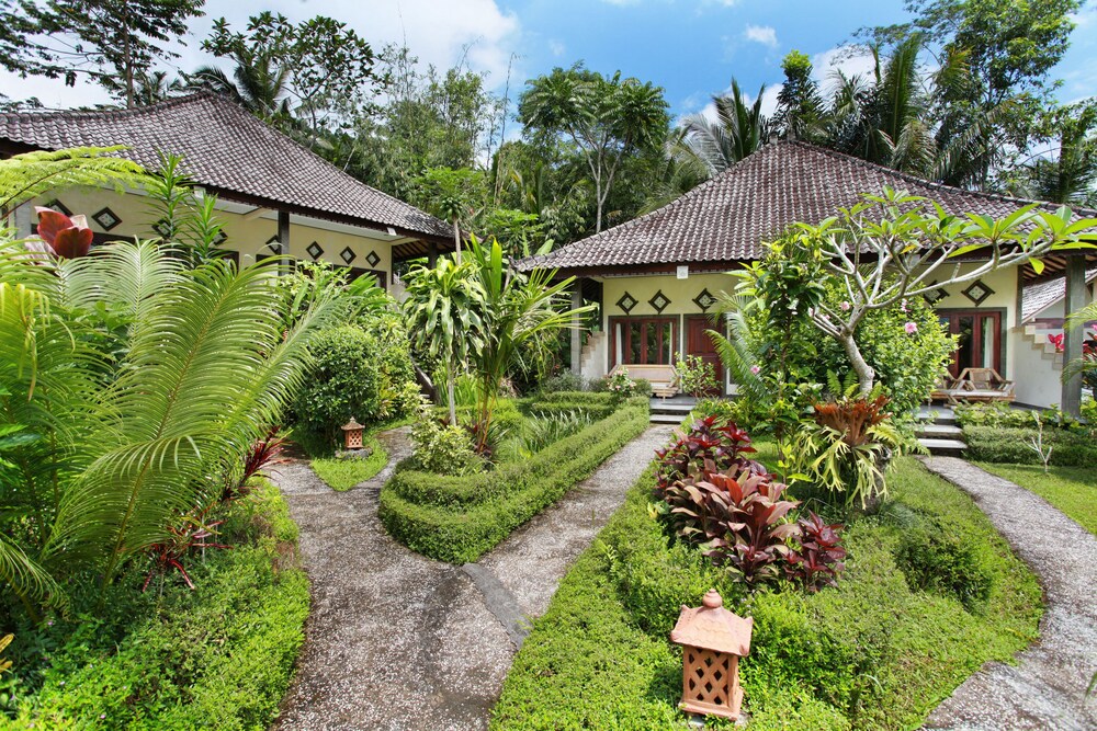 Great Mountain Views by null