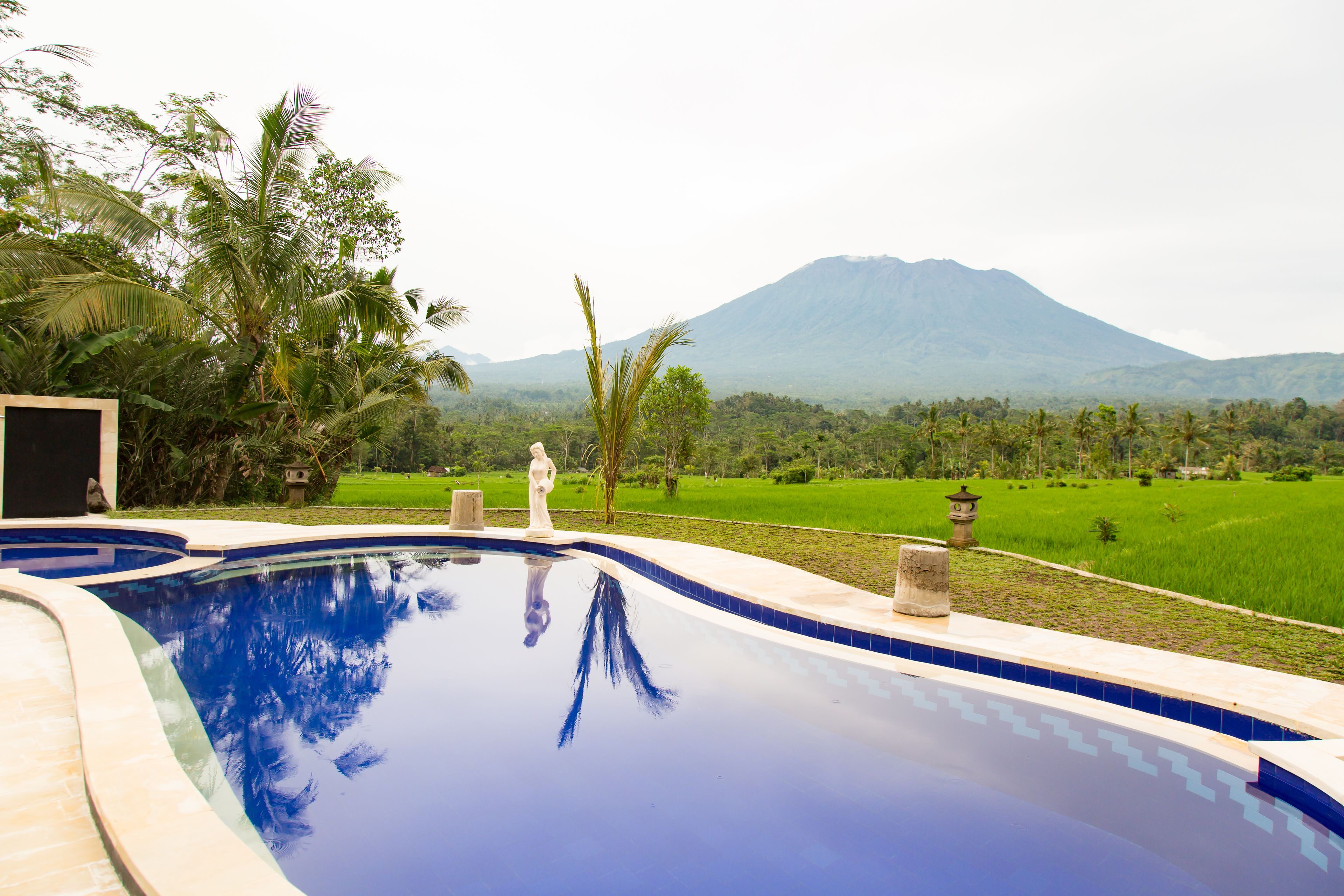 A swimming pool with a view of a mountain and lush greenery.