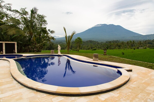 Outdoor pool, pool umbrellas, sun loungers